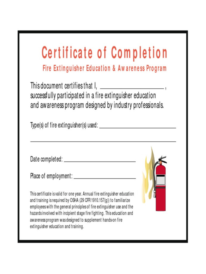 Fire Extinguisher Certificate  PDF