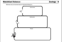 A Blank Food Web Template For Ecological Analysis