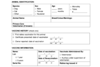 Rabies Vaccination Certificate Template