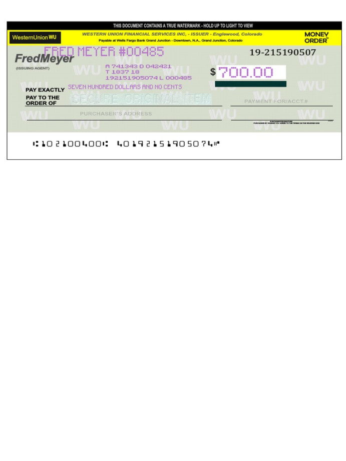 Wu Money Ordee Template  Download Free PDF  Money Order  Cheque