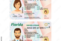 Florida Identification Card Template