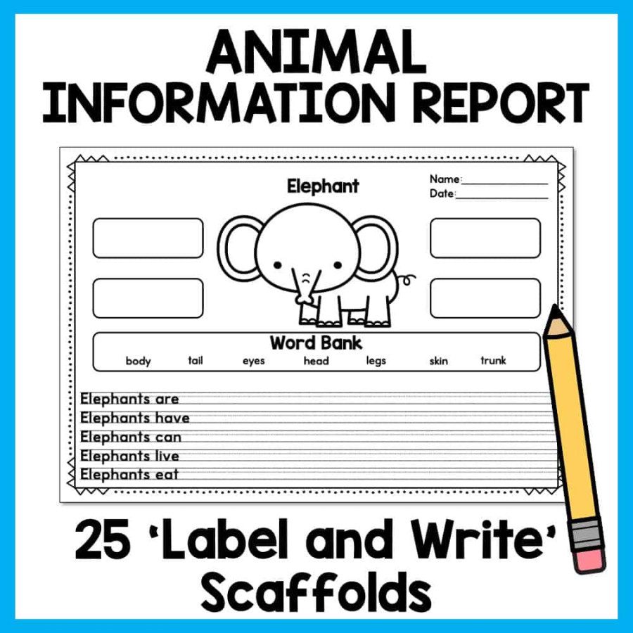 Animal Report Writing Template - Animal Information Writing