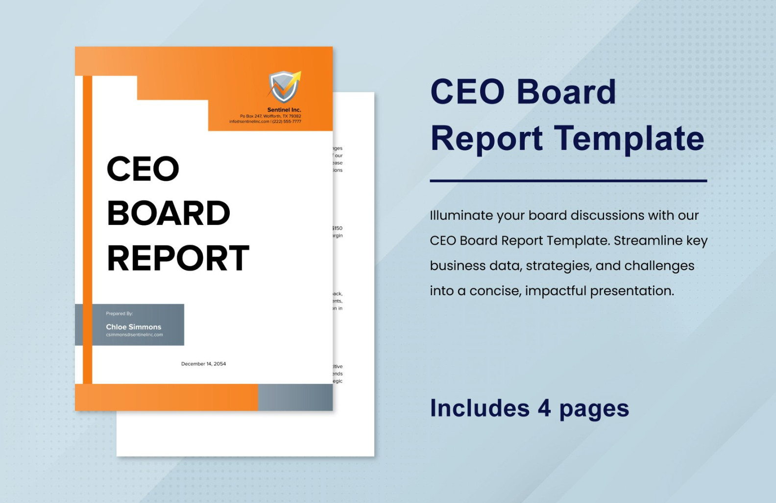 CEO Board Report Template in Word, PDF, Google Docs - Download