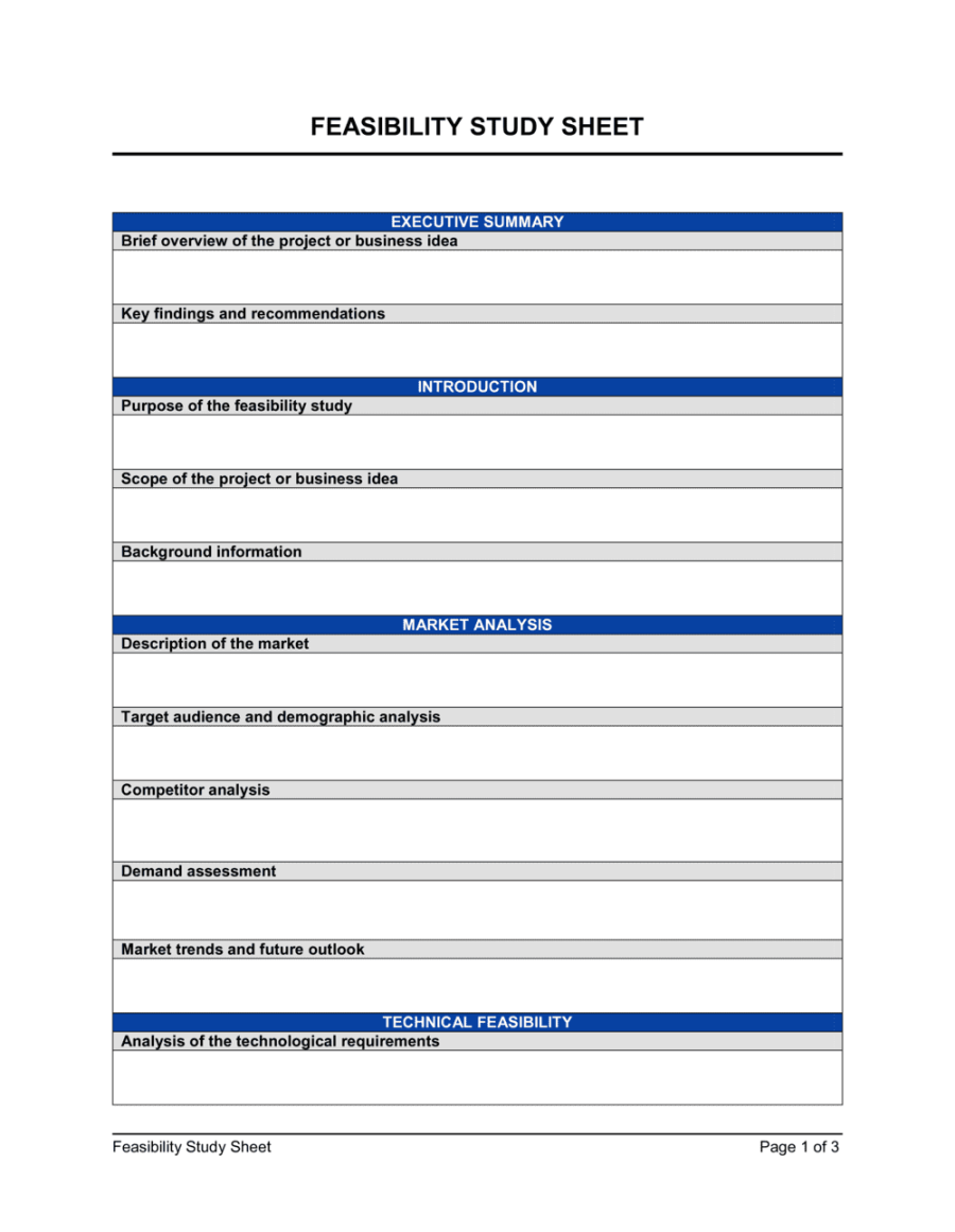 Feasibility Study Template  [Download