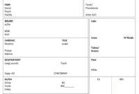 Nurse Shift Report Sheet Template