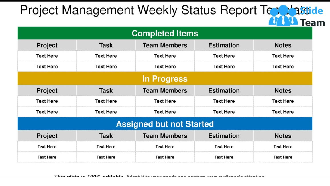 Project Management Weekly Status Report Template