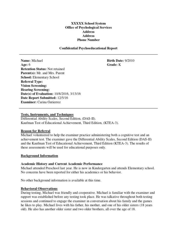 Psychoeducational Report  PDF  Educational Assessment